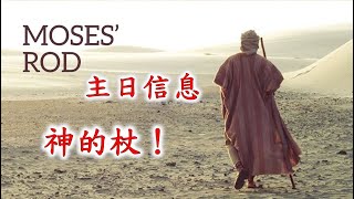 林口靈糧堂 20210418 主日信息 神的杖！ 馮啟文 主任牧師