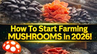 🍄How To Start Farming Mushrooms in 2026!💥#MushroomFarmer #FarmingMushrooms #Fungi #Mycology