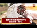 Scorching Heatwave In North India: Mercury Expected To Soar Higher Next Week | 6 PM Prime