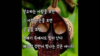 그 사람의 손을 보면 [천양희 詩]