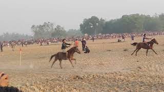 দেশ সেরা বিখ্যাত আকাশী ঘোড়দৌড়। Horse Racing