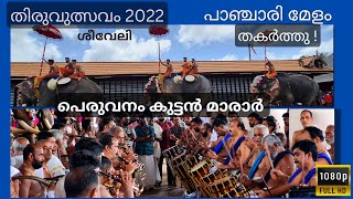 Peruvanam Kuttan Marar | Best Panchari Melam | Sheeveli | Iringalakkuda Utsavam 2022