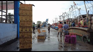 Walking around Puthiyappa Fishing Harbour | Kozhikode | Walking Stories