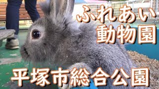 かわいさてんこ盛り！！ふれあい動物園アニマルズ　平塚市総合公園　神奈川県平塚市