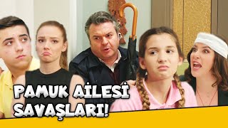 Pamuk Ailesinin Başı Belada!