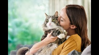 Myth-Busting Session about Cat Allergens