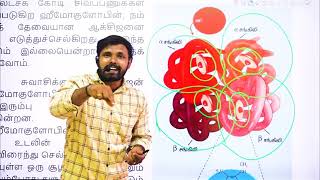 துருப்பிடித்தல் | ஹீமோகுளோபின் | Oxidation of Iron | Hemoglobin