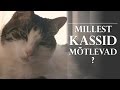 Millest Kassid Mõtlevad?