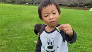 【Family vlog】さんぶの森公園 #さんぶの森公園 #キックバイク #DJI-OM4 #note20ultra