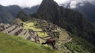 Festnahme wegen großem Geschäft auf dem Machu Picchu