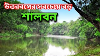 উওরবঙ্গের সবচেয়ে বড় শালবনে যা দেখলাম! মাতাল হতে সাবধান! Desi Wine Village, Dinajpur.