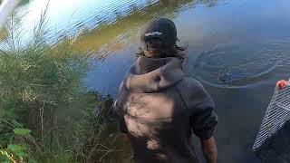 Murray cod season open 2025/26, first session