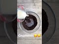 tik tok torta oreo