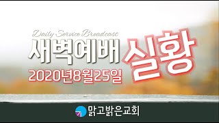 [맑고밝은교회] 새벽예배 실황(20200825)(김영진 목사)