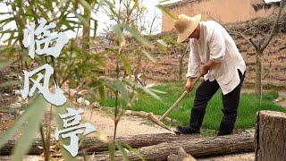 老木匠的家传工具，做一个木头亭子，避暑乘凉邻居们偷偷都跑这里