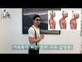 이 영상을 보기전엔 당신은 계속 거북목입니다.