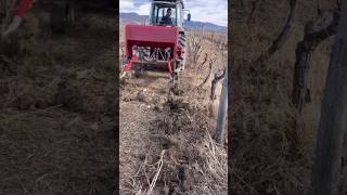 Boosting Grape Production.🍇🚜🎥➡️@manavi_estate #viticulture #fertilizer #vineyard