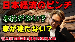 【WBSでも話題に！】緊急！木材不足・ウッドショックで家が建たない！今後どうなる日本？