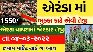 Aerda na bhav | 04-03-2022 | એરંડાના ભાવ:2022 | information about Castor crop price |Commodity Trend