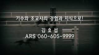 김효섭의 과천황태자 2월9일 일요경마 예상방송