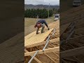 how to sheet a roof. framing a house construction roofing framing construction woodworking