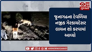 જૂનાગઢના દેવળિયા નજીક ગેરકાયદેસર લાયન શો કરવામાં આવ્યો