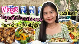 vlog3 แม่บ้านญี่ปุ่น ปลูกผักในกล่องนม ทำอาหารไทยเอาใจสามีญี่ปุ่น มีเมนูวันนี้อะไรบ้างนะ ทำขวดน้ำหยด?