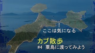 カブ散歩　#4 粟島に渡ってみよう