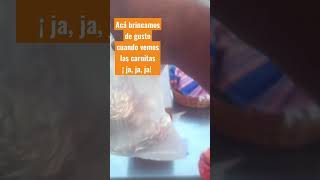 Acá brincamos de gusto cuando vemos las carnitas ¡ja, ja, ja! @cotidiano399