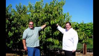 ACF Pro Chefs Oregon visit Fiala Farms, West Linn, Oregon