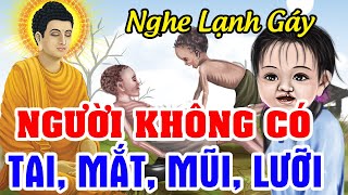 Người Không Có Tai, Mắt, Mũi, Lưỡi - Nghiệp Phải Trả Không Sớm Thì Muộn | Chuyện Nhân Quả Báo Ứng