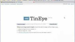 TinEye.com - Walkthrough