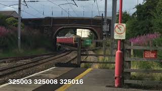 *RARE*  Royal Mail 325’s at Penrith