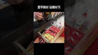 🇦🇺[남매끼리 호주 워홀 14일차] 호주에서 담배사기