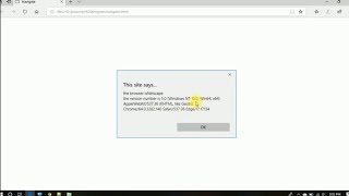 JavaScript program to show browser information (Navigator object)