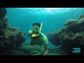 maumere snorkeling around the town center must try