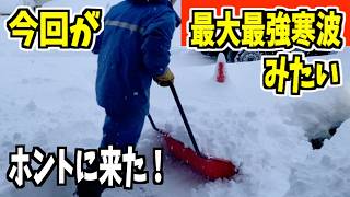 2025-02-18（火）夕　ホントに帰ってきた最大最強寒波！寒波再び！特別豪雪地帯！武七の除雪・雪かき日記　snow removal