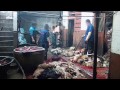 revealed dogs skinned alive for leather