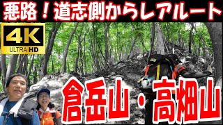 【ハイキング】これ？登る！悪路！道志側からの「倉岳山」「高畑山」ルート