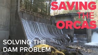 Saving the Orcas: Solving the Dam Problem