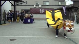 鵜住居虎舞　ふっこう＊ふれあい祭り①（盛岡）2017.3.25　もりおか町家物語館