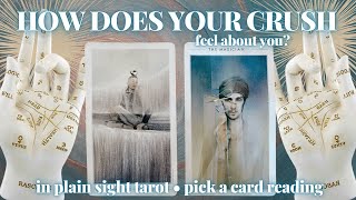 PICK A CARD: HOW DOES YOUR CRUSH FEEL ABOUT YOU?