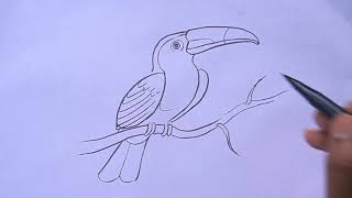 How to draw a toucan step by step