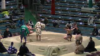 鳴滝-駿河富士/2017.3.20/narutaki-kaorufuji/day9 #sumo