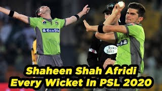 Shaheen Shah Afridi Every Wicket In HBL PSL 2020|MB2