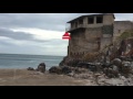 berry head cliff jumping