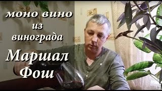 Сухое вино из винограда МАРШАЛ ФОШ! Моно вино из винограда МАРШАЛ ФОШ!