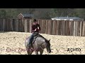 erin taormino circling a bridle horse for cow work