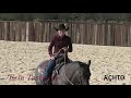 erin taormino circling a bridle horse for cow work