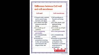Difference between cell wall and cell membrane